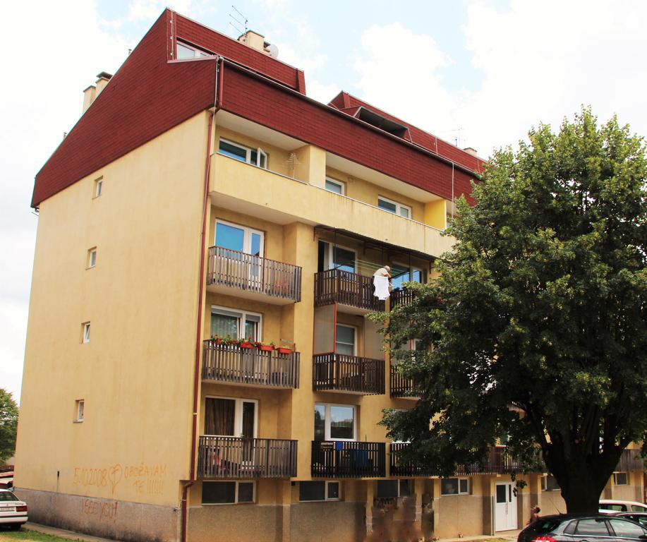סלוניי Apartman Drenovac מראה חיצוני תמונה
