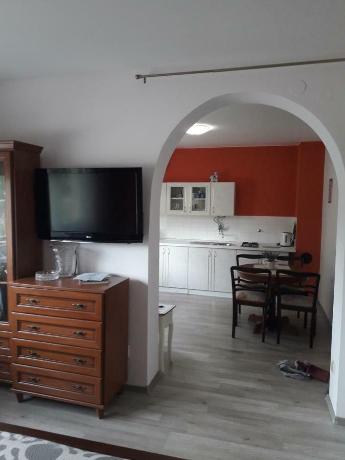 סלוניי Apartman Drenovac מראה חיצוני תמונה